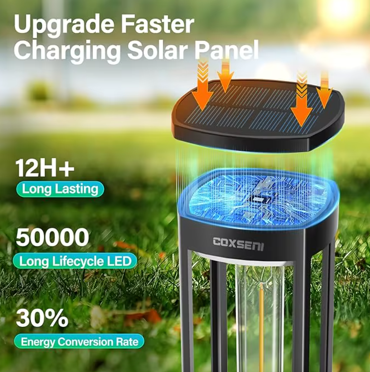 Solar Pathway Lights