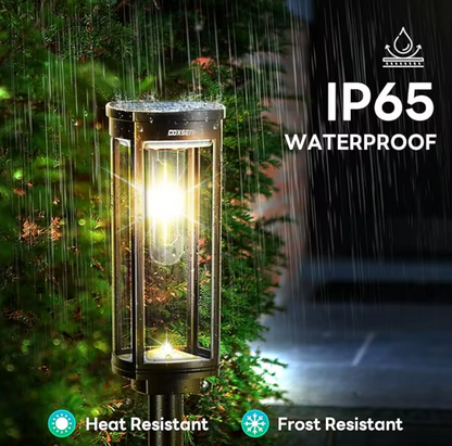 Solar Pathway Lights